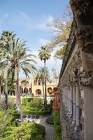 in den Gärten des Alcázar Real