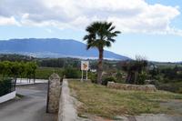 Finca Juanito Orange