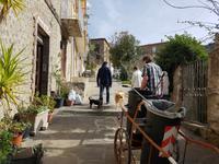 Italien, Cilento, Canniccio