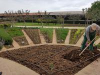 Italien, Paestum, Vannulo