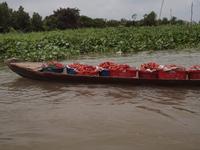 Ausflug ins Mekongdelta