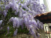 Italien, Wanderung Santa Maria nach Agropoli