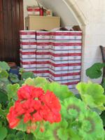 Im Kloster Chrysoroyiatissa 