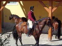 Reitschule