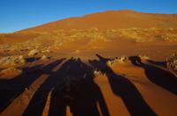 Faszinierende Namib Wüste - Team Erdmännchen