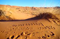 Faszinierende Namib Wüste - Eberhardt Spuren