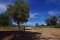 Unterwegs im Kaokoveld