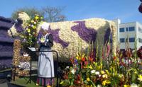 Lisse, Blumencorso, Thema- Kultur