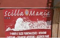 Scilla am Strand