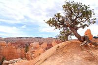 Bryce Canyon