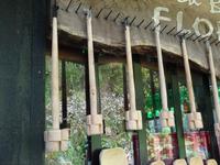 Ribeiro Frio - Quirl zur 