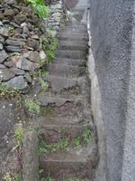 Levada Wanderung, Treppenaufgang