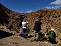 Dades Schlucht