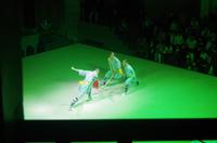 Kung-Fu-Show