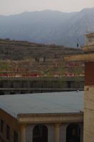 Morgentraining - Kung-Fu-Schüler