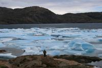 Eisformationen im Kong Oscars Havn in Tasiilaq