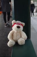 Eberhardt-Bärchen auf Reisen