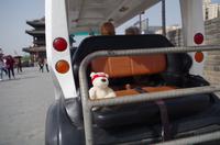 Eberhardt-Bärchen auf Reisen