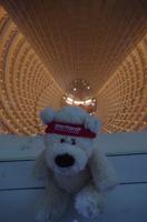 Eberhardt-Bärchen auf Reisen