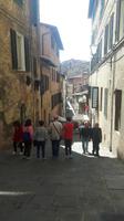 Siena