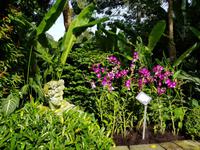 Im Orchideengarten in Singapur