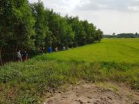 Exkurs ins Reisfeld
