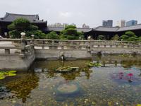 Nan Lian Tempel in Hongkong