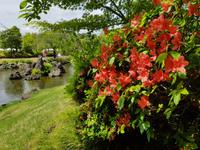 Sunpu Castle Park