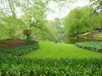 Keukenhof