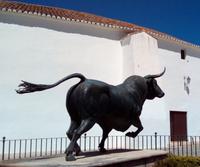 Ein Toro Bravo der Stierkampfarena von Ronda