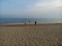 Am Strand 