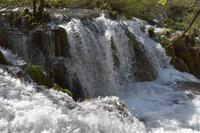 115 NP Plitvicer Seen