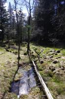 Bergen Spaziergang auf dem Floyen
