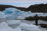 Eisschollen im Kong Oscars Havn in Tasiilaq