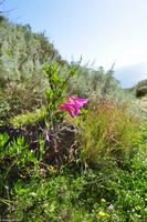 Wandern auf Lipari, UNESCO Weltnaturerbe, Äolische Inseln
