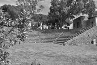 Zitadelle von Lipari - Olivenzweig