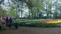 Lissse, Keukenhof