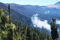 Teneriffa - Teide Nationalpark