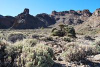 Teneriffa - Teide Nationalpark