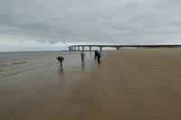 Ile de Ré Sandstrand 