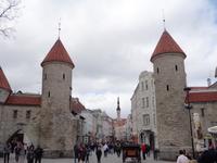  Die Viru Pforte in Tallin