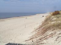 Feinster Sand am kurischen Ostseestrand