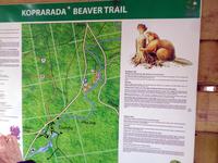 Verlauf des Biber-Lehrpfads