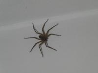 Namibia, Toshara Lodge, 