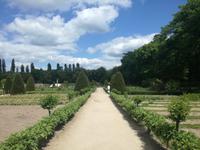 077. Gemüsegarten vom Schloss Chenonceau