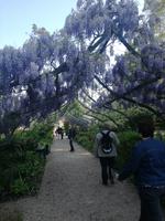 092. Schloss Cheverny - Gärten