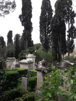 61_Rom_Protest.Friedhof_1