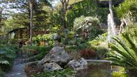 Giardini la Mortella
