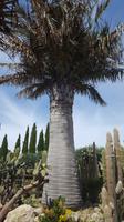 Giardini Ravino