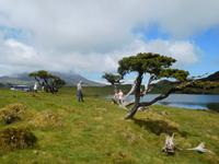 Hochebene auf der Azoren-Insel Pico (3)